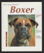 Boxer
