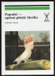 Papoušci - opeření přátelé člověka