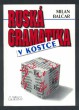 Ruská gramatika v kostce