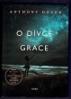 O dívce Grace