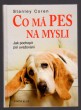 Co má pes na mysli