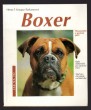 Boxer