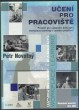 Učení pro pracoviště: prostor pro uplatnění konceptu workplace learning v českém prostředí