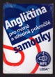 Angličtina pro mírně a středně pokročilé samouky + mp3