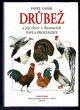 Drůbež a její chov v ilustracích Pavla Procházky