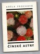 Čínské astry