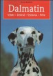 Dalmatin