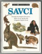 Savci