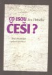 Co jsou Češi?