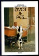 Život je pes...